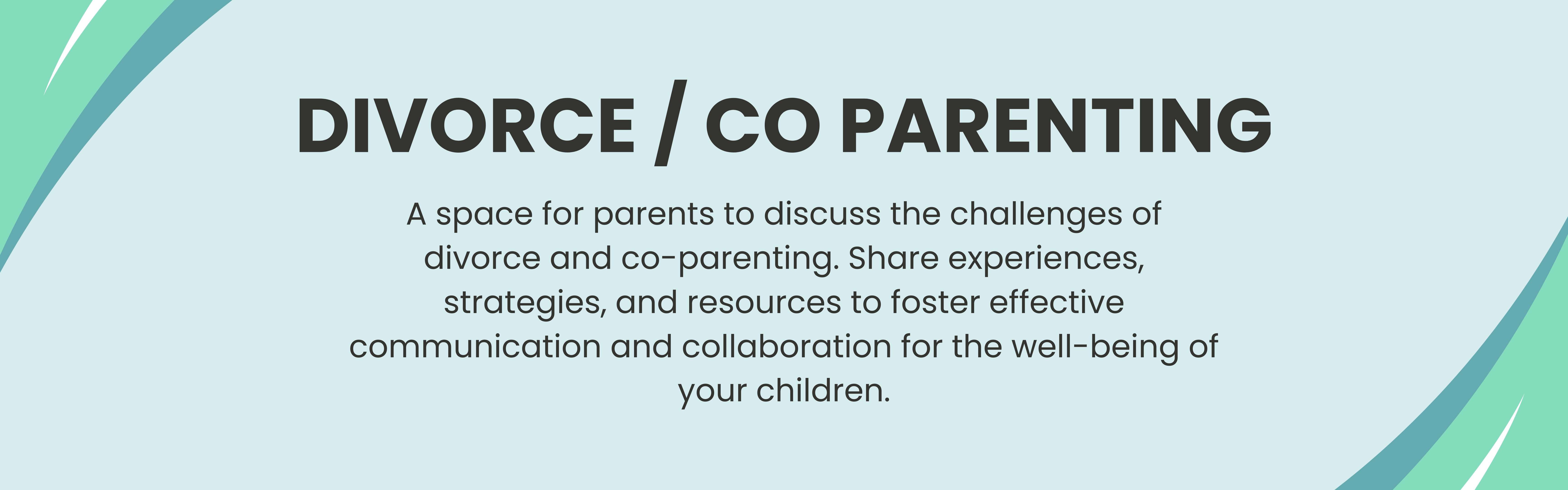 Divorce / Co-Parenting | Parent Trainers