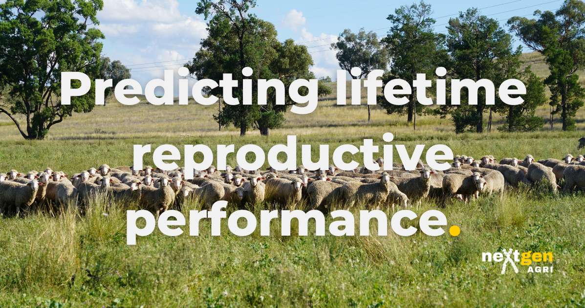 Predicting lifetime reproductive performance | The Hub