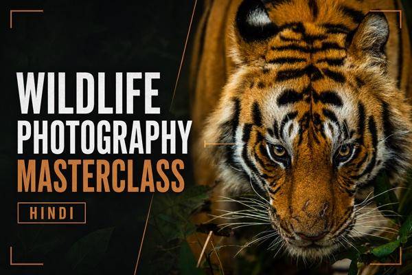 Wildlife Photography Masterclass (HINDI)