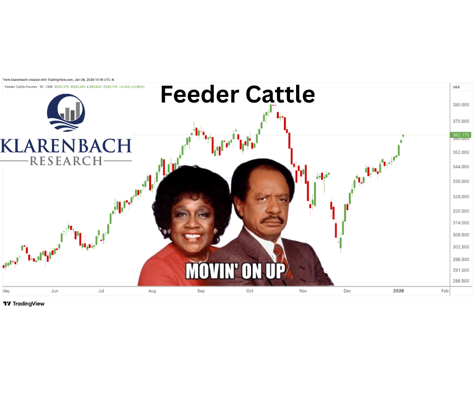 Feeder Cattle | The Trading Floor