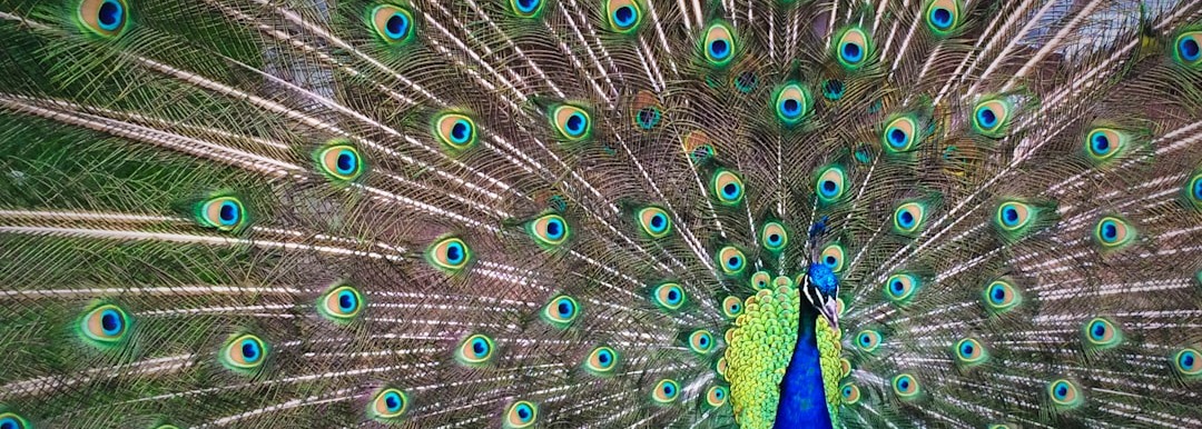 How to build greater confidence