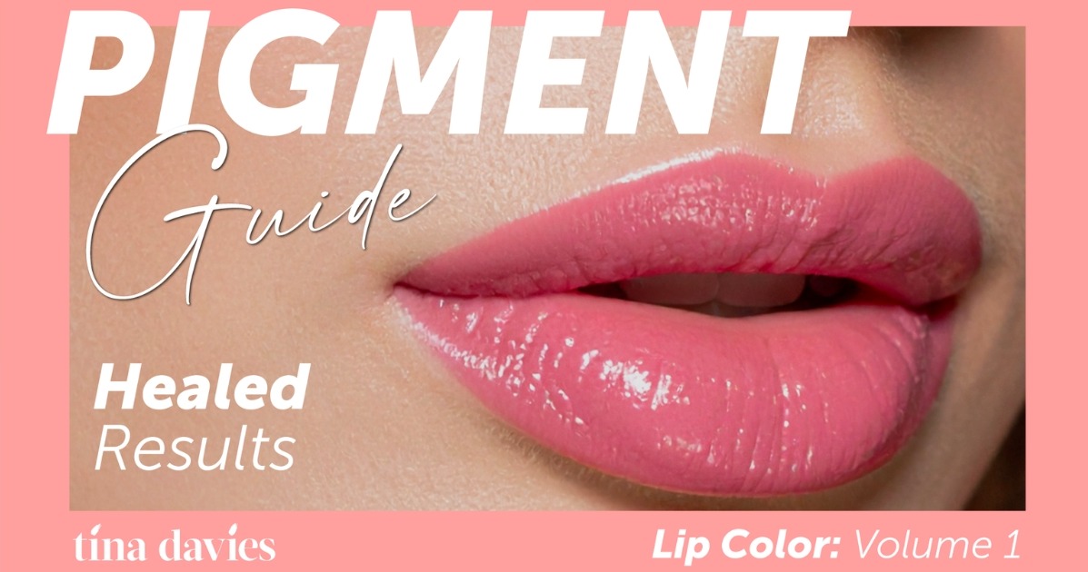 Tina Davies Lip Pigment Guide: Healed Results Lip Color: Volume 1 | The ...