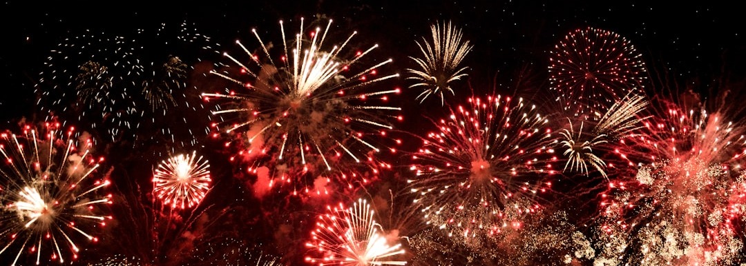 Renta fija y bonos sostenibles. Una mirada en el fin de a&ntilde;o.