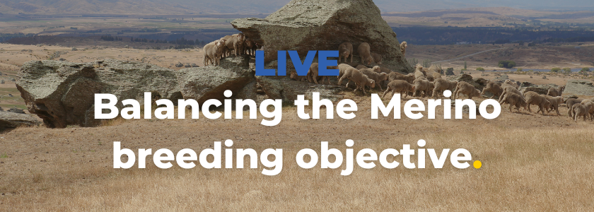 Balancing the Merino breeding objective - valuing the good doers, with ...