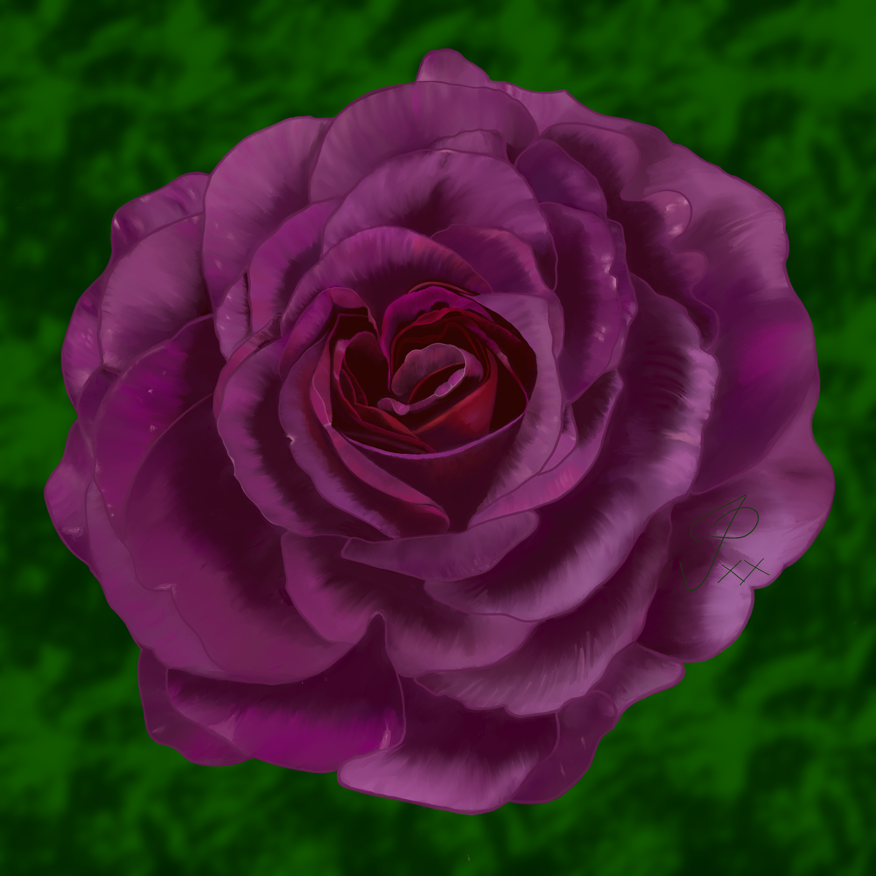 Rose challenge | VisualTribe