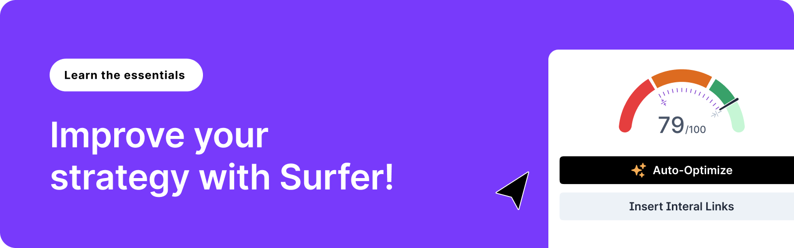 Surfer Basics | Surfer Community