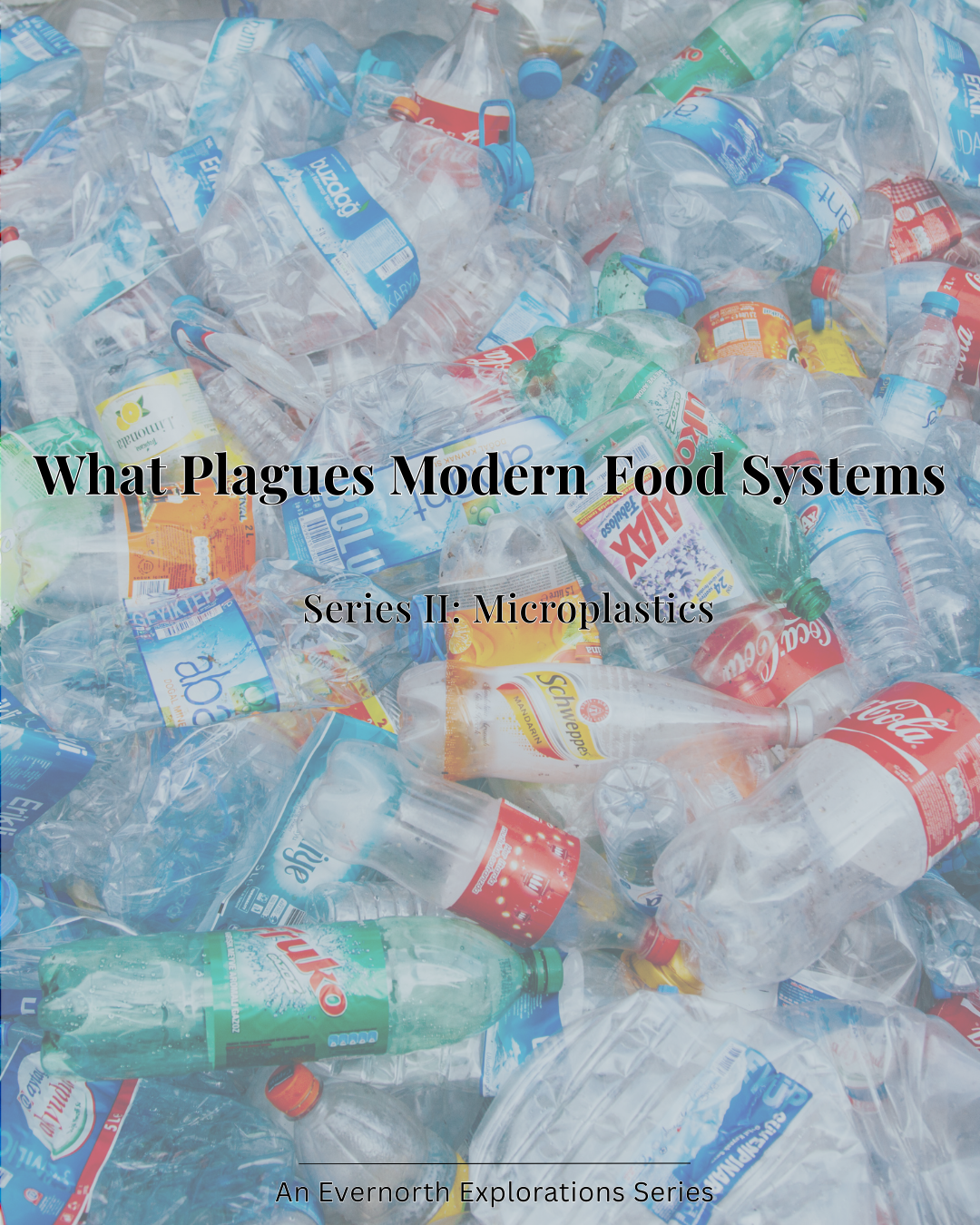 What Plagues Modern Food Systems: Series II: Microplastics | Evernorth Foundation