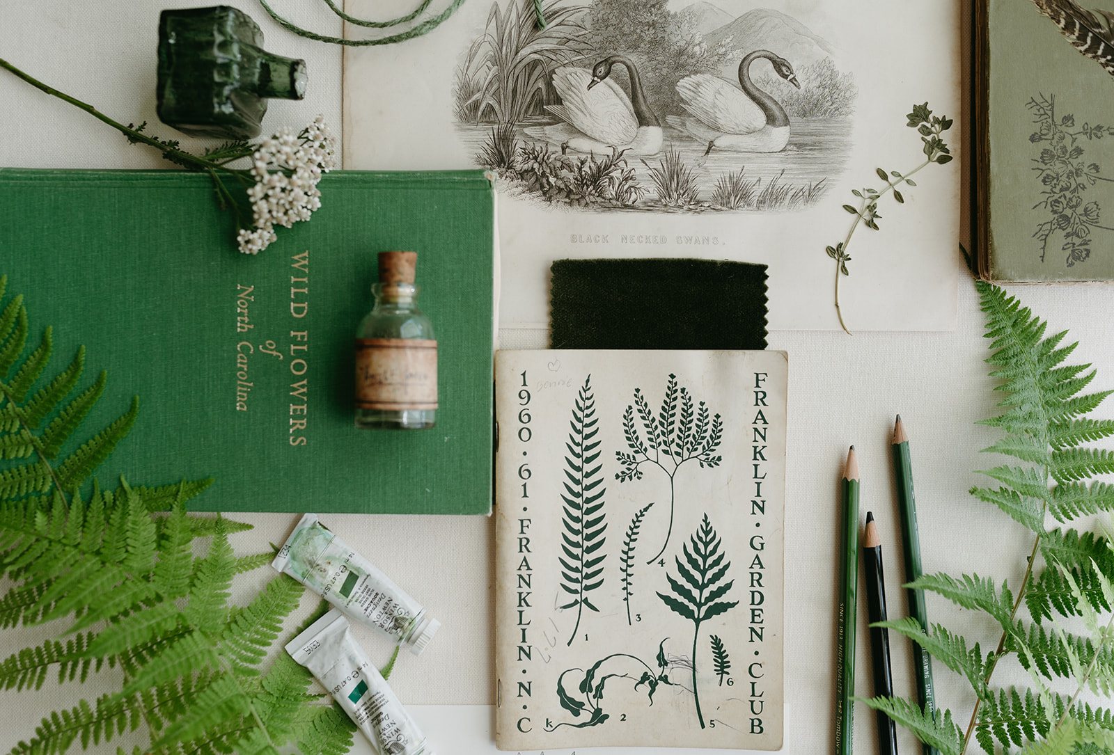 Green fern moodboard flat lay