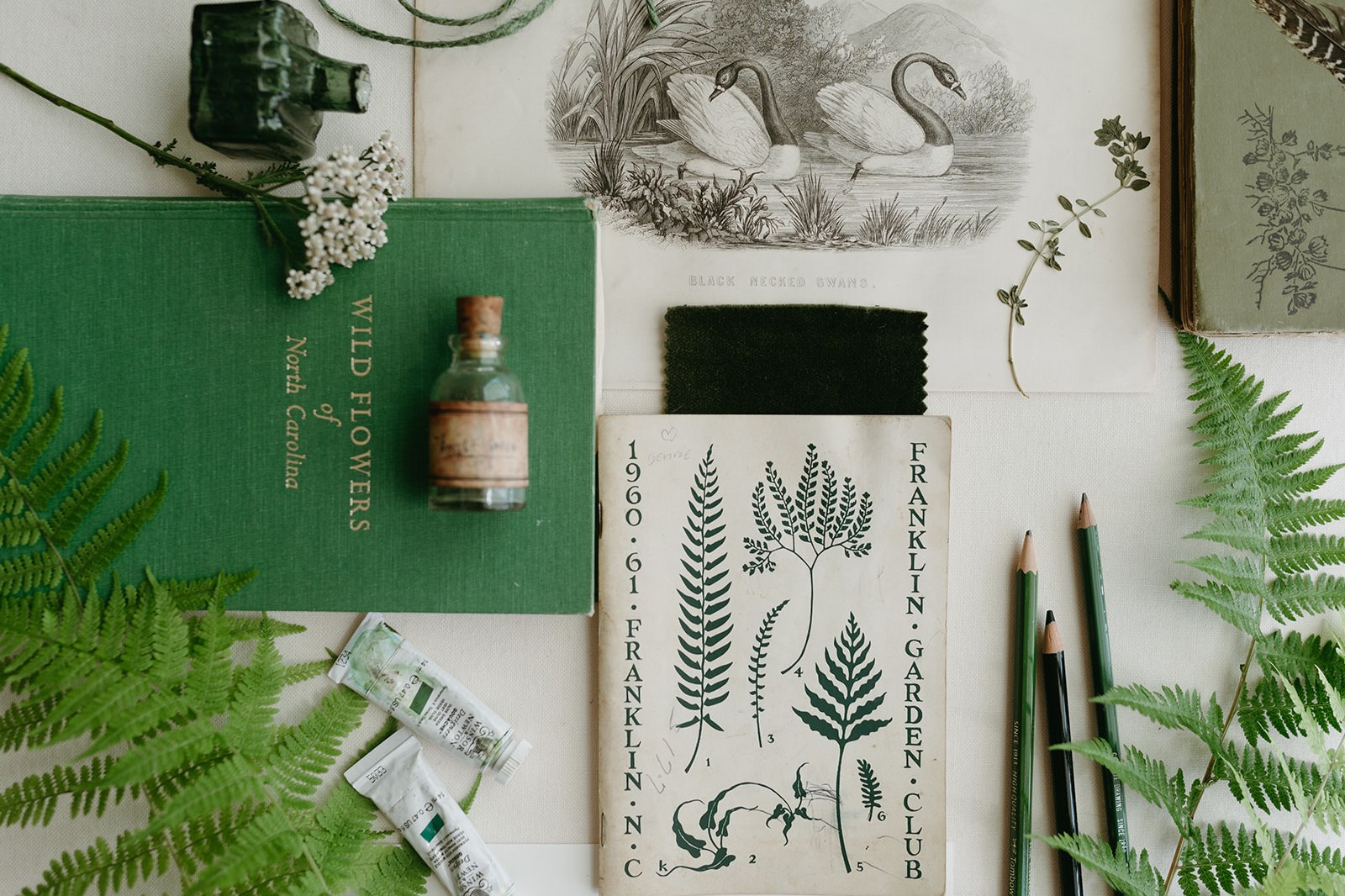 Green fern moodboard flat lay