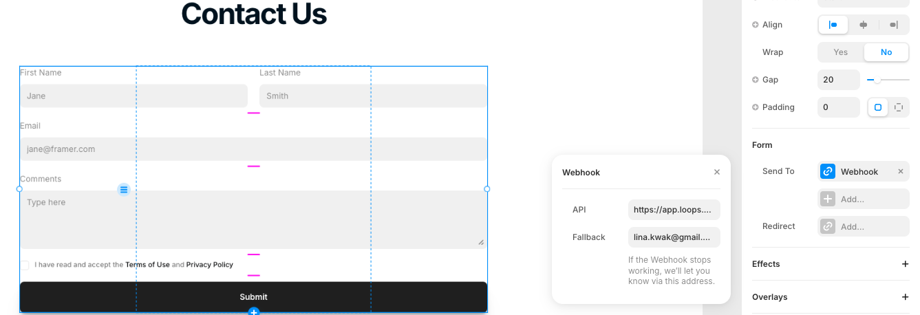 Issue Integrating Framer Form Builder with Loops Webhook | Framer