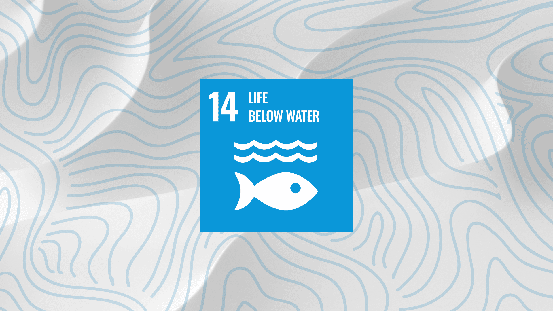 Sustainable Development Goal 14: Life Below Water | Ocean Literacy ...
