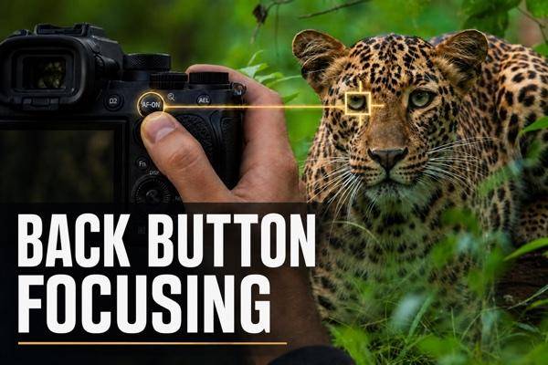 Back Button Focusing